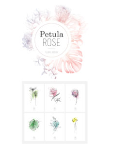 petula rose fleuriste logotype charte graphique illustration