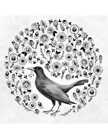 bird oiseau noir tattoo tatouage illustration bird lpo
