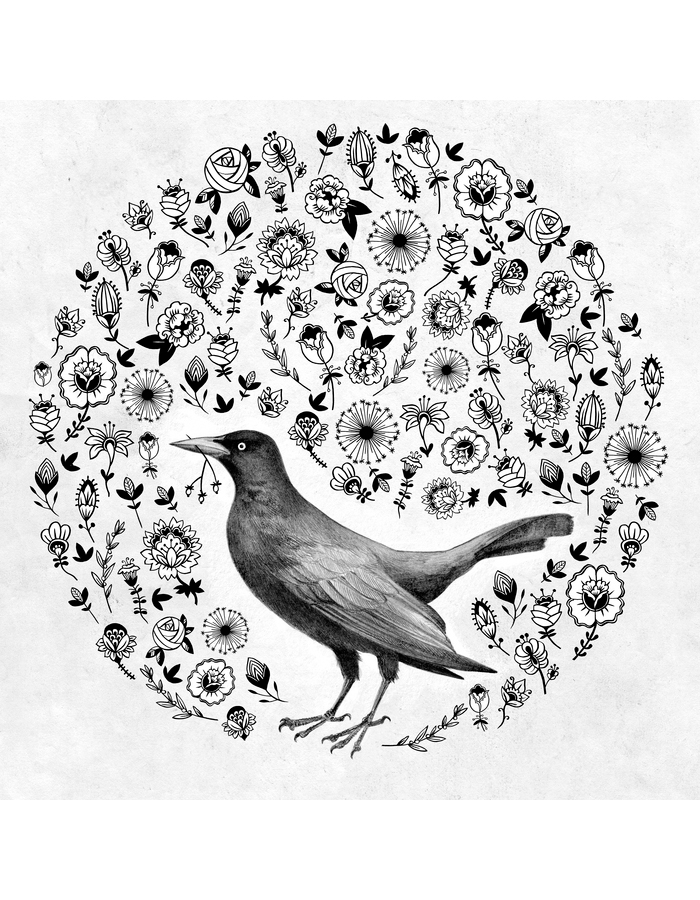 bird oiseau noir tattoo tatouage illustration