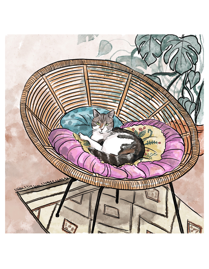chat cat vintage rotin illustration chaise monstera