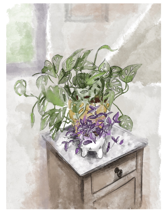 plante philondendron vintage aquarelle illustration