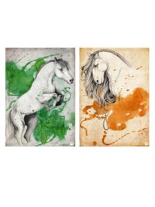 cheval illustration communication evenement