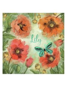faire-part naissance fleurs pavot illustration