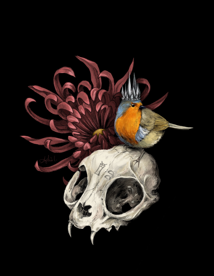 crâne dessin skull illustration rouge gorge
