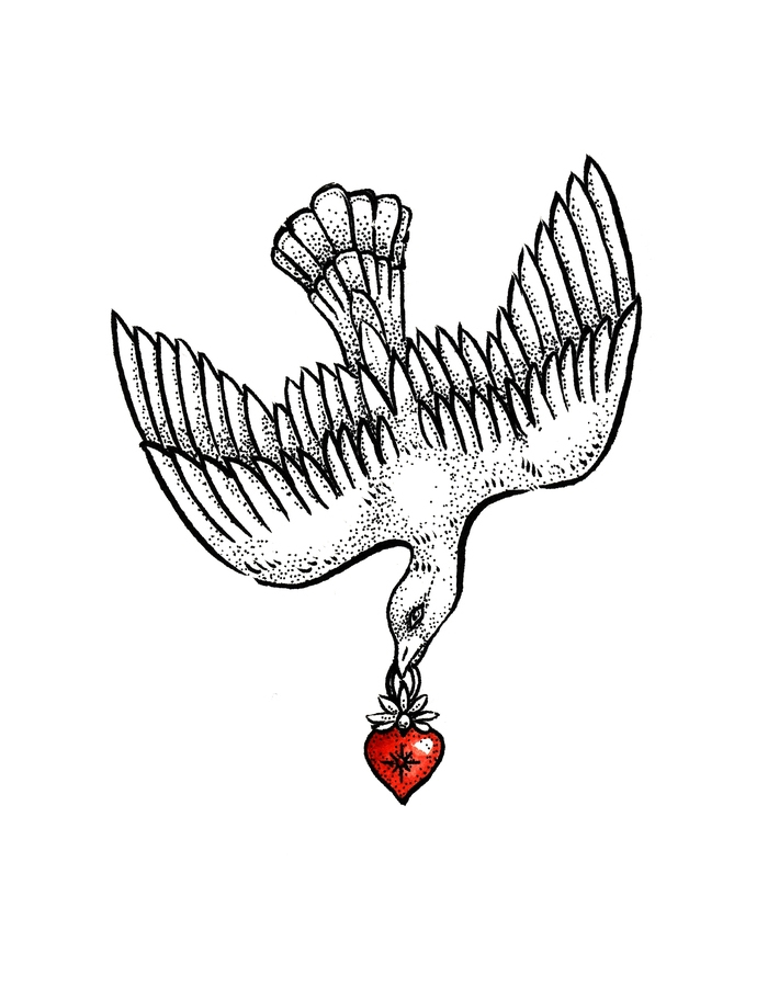 dessin oiseau encre coeur
