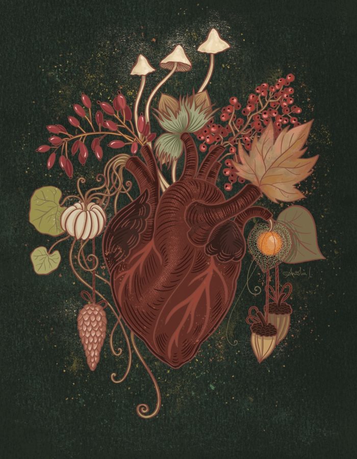 coeur anatomique illustration automne