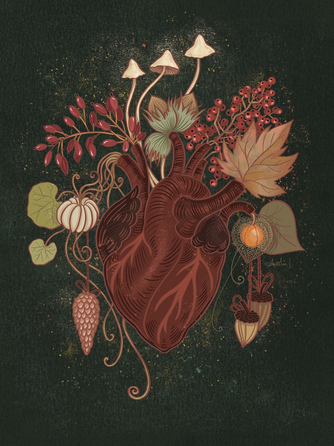 coeur anatomique illustration automne