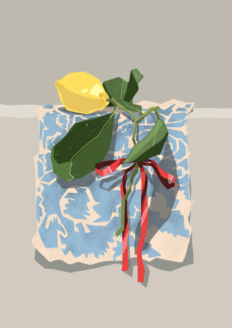 citron lemon dessin illustration fruit