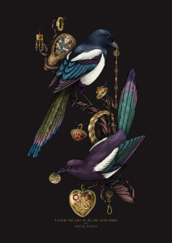 detectorists magpie pie oiseau bijoux archeologie