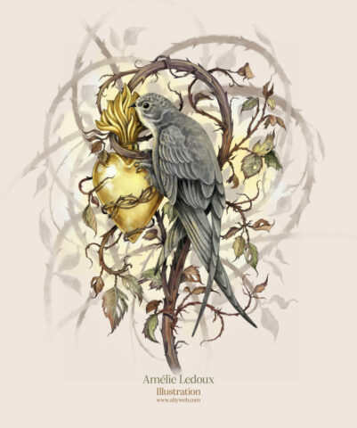 Illustration Martinet oiseau lpo protection nature ronce eure