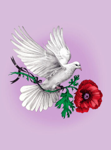colombe paix amour peace love illustration illustratrice palestine dove no war