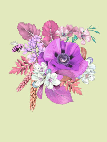 fleurs normandie lin coquelicot pavot lin abeille bee pommier colza eure le neubourg