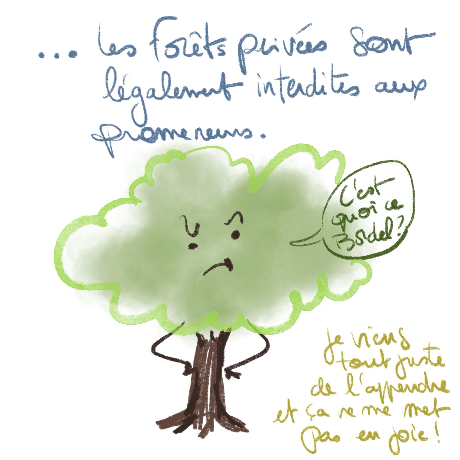 Privé de forêt !