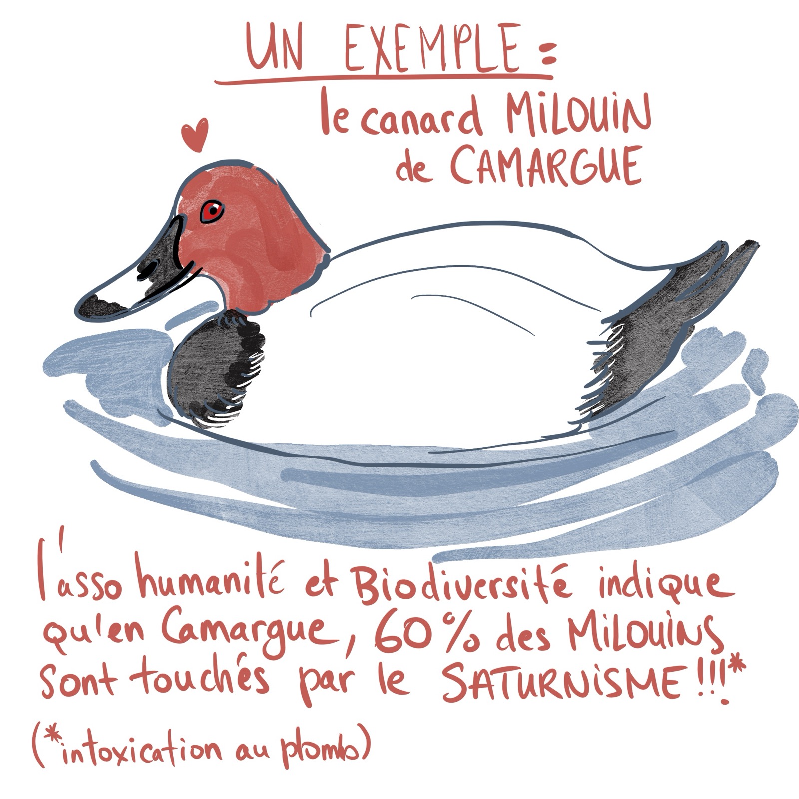Du plomb où je pense !