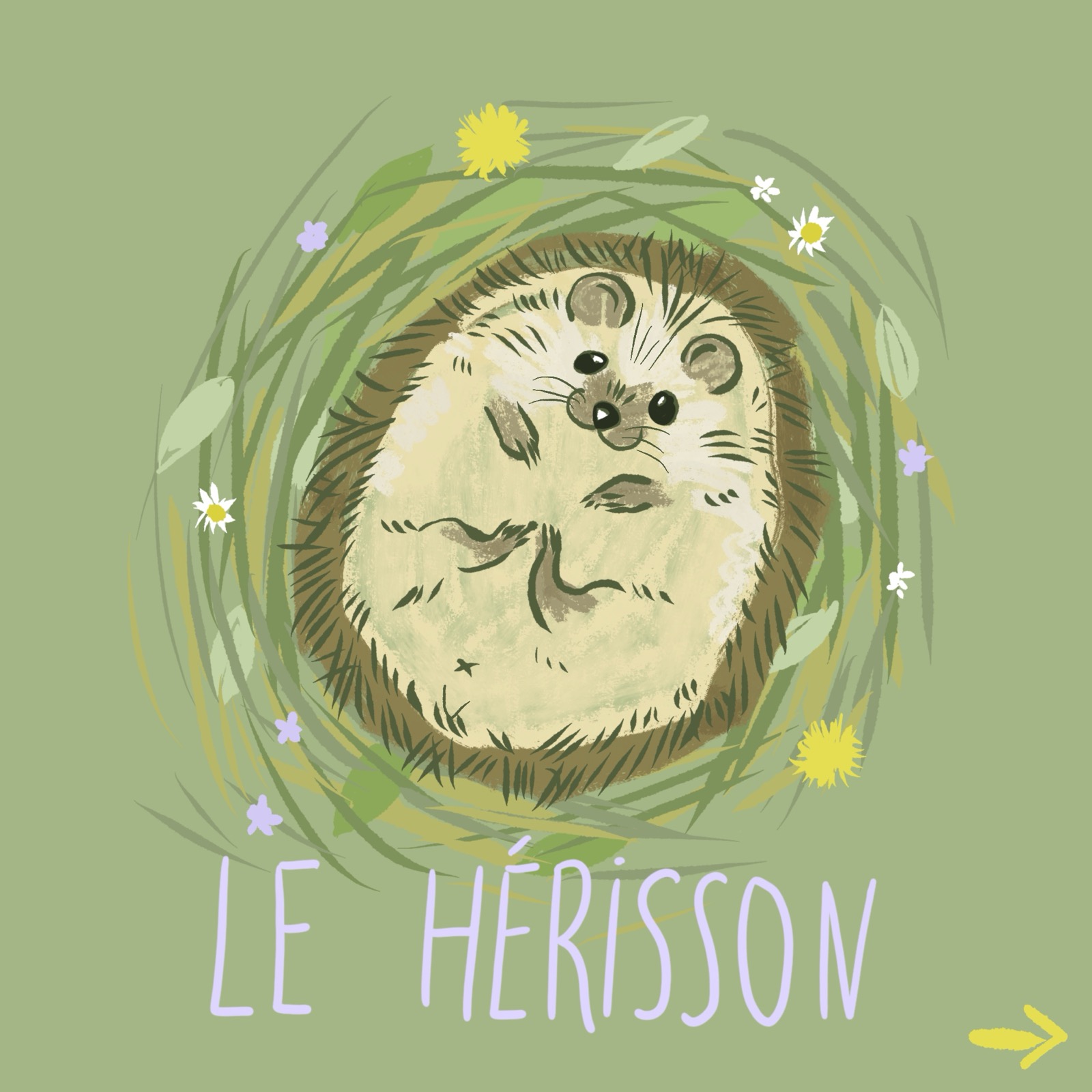Hérisson & Choupisson !