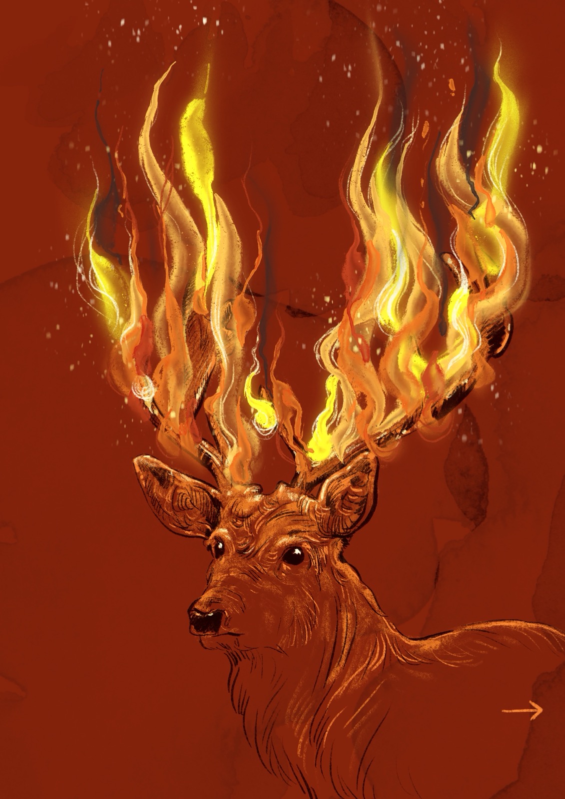 Fire !