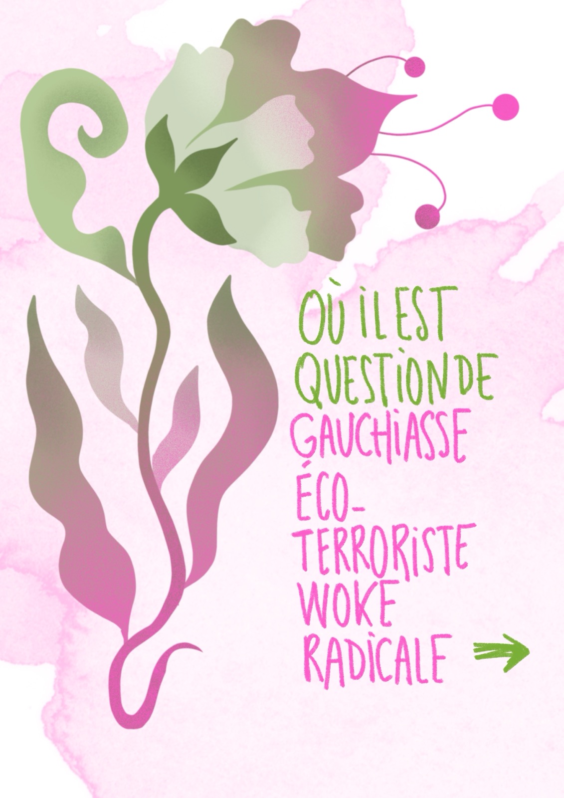Où il est question de gauchiasse éco-terroriste woke radicale !